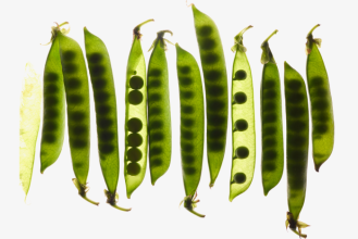 Перезагрузка